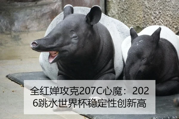 全红婵攻克207C心魔：2026跳水世界杯稳定性创新高 - yaxin