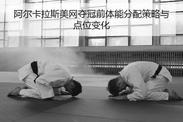 a-er-ka-la-si-mei-wang-duo-guan-qian-ti-neng-fen-pei-ce-lve-yu-dian-wei-bian-hua-2-217.jpg